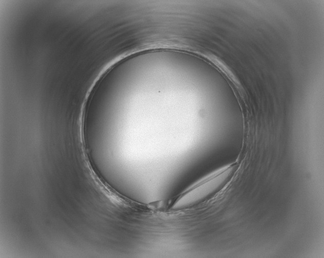 X0000074331246200609230044