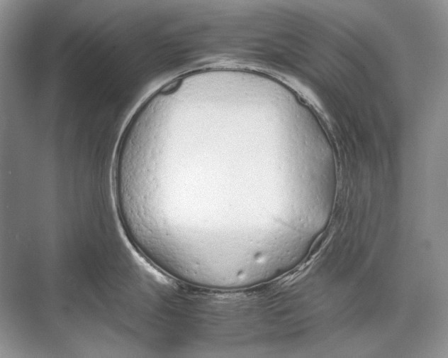 X0000074331247200609230044