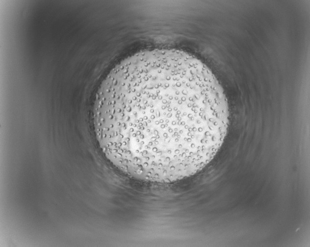 X0000074331249200609230043