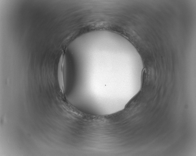 X0000074331250200609230043