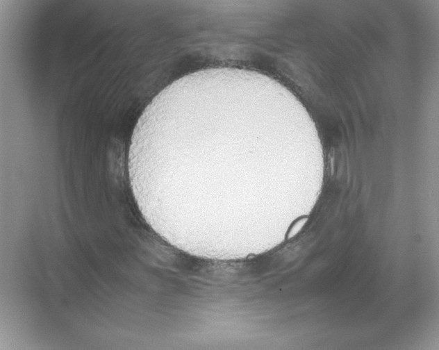 X0000074331251200609230043