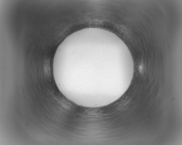 X0000074331252200609230043