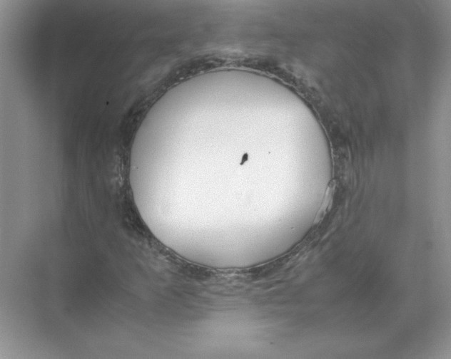 X0000074331253200609230043