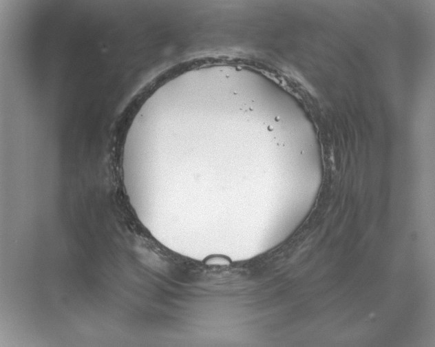 X0000074331256200609230043