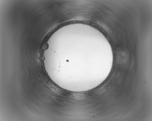 X0000074331258200609230043