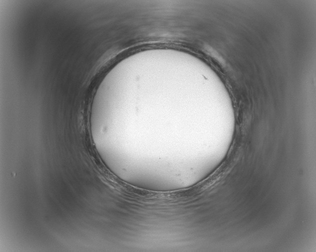 X0000074331259200609230043