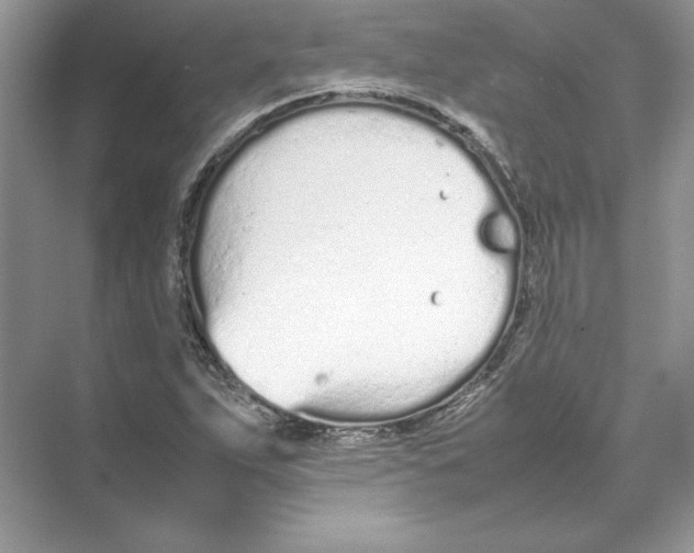 X0000074331263200609230043