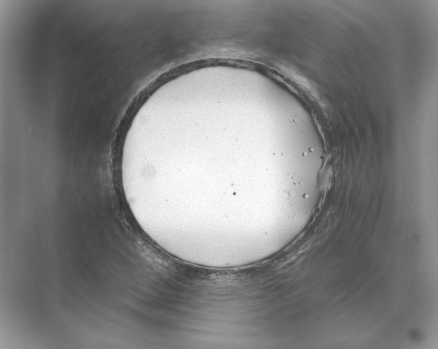 X0000074331264200609230043