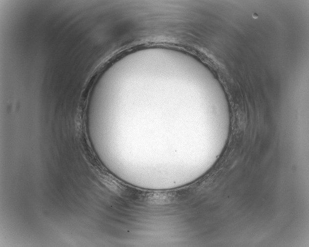 X0000074331266200609230043