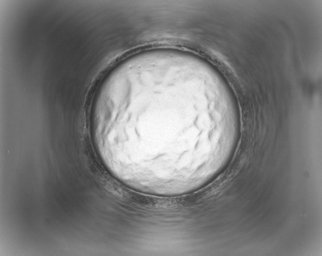 X0000074331267200609230043