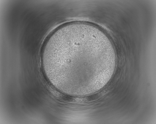 X0000074331271200609230043