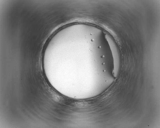 X0000074331272200609230043