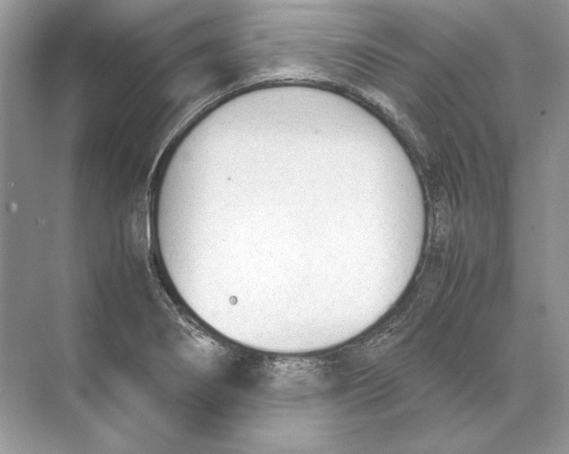 X0000074331274200609230043