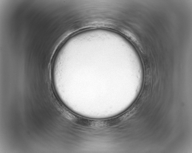 X0000074331275200609230043