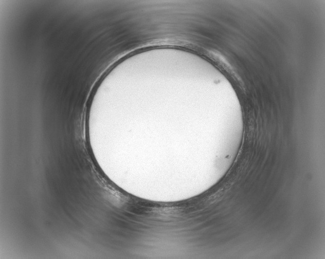 X0000074331276200609230043