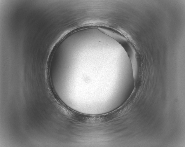 X0000074331277200609230043