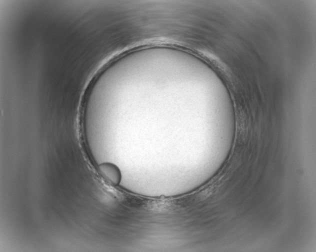 X0000074331278200609230043