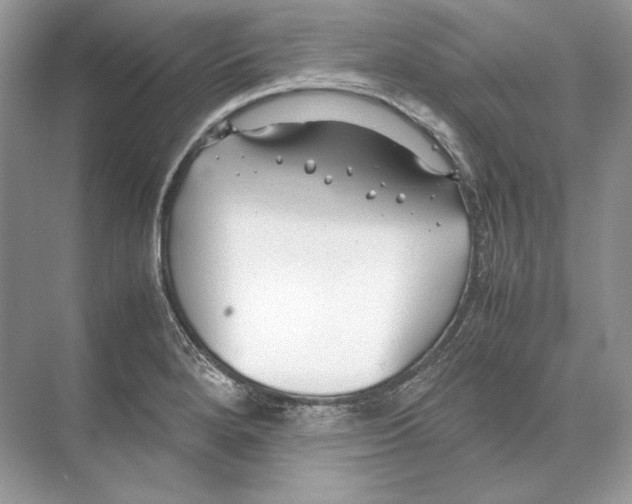 X0000074331280200609230043