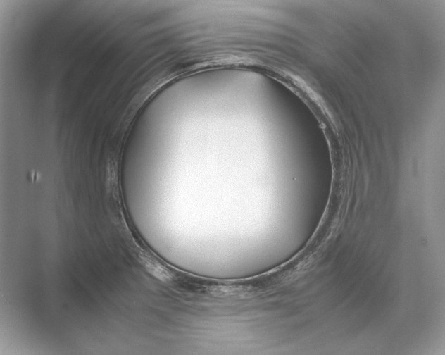 X0000074331281200609230043