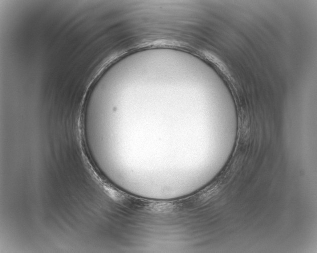 X0000074331282200609230043