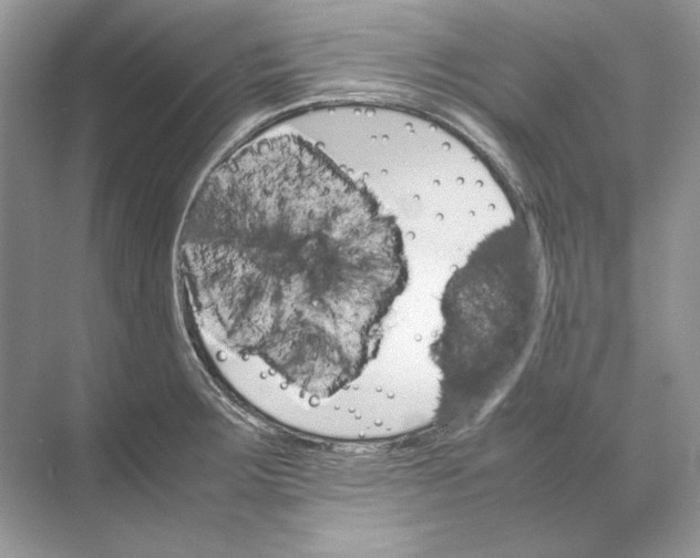 X0000074331283200609230043