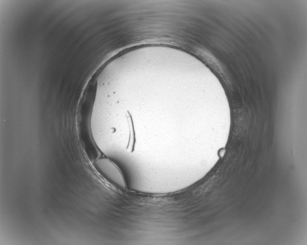 X0000074331284200609230043