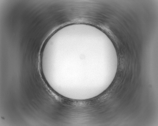 X0000074331286200609230043