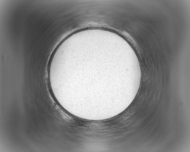 X0000074331287200609230043