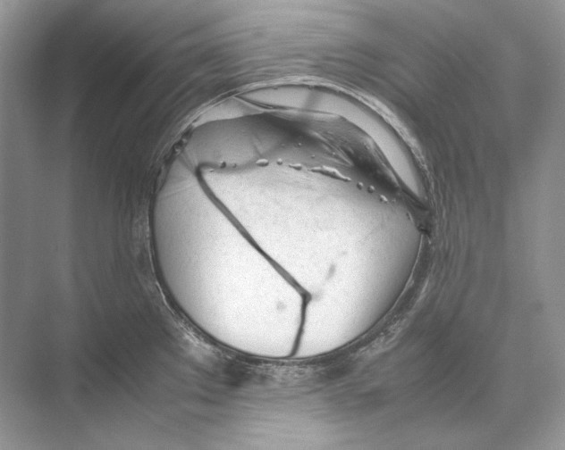 X0000074331289200609230043