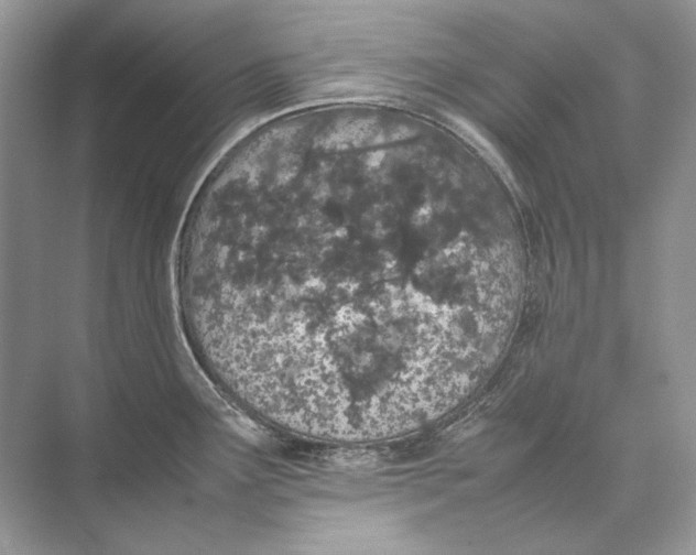 X0000074331291200609230043