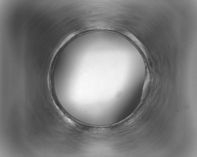 X0000074331293200609230043