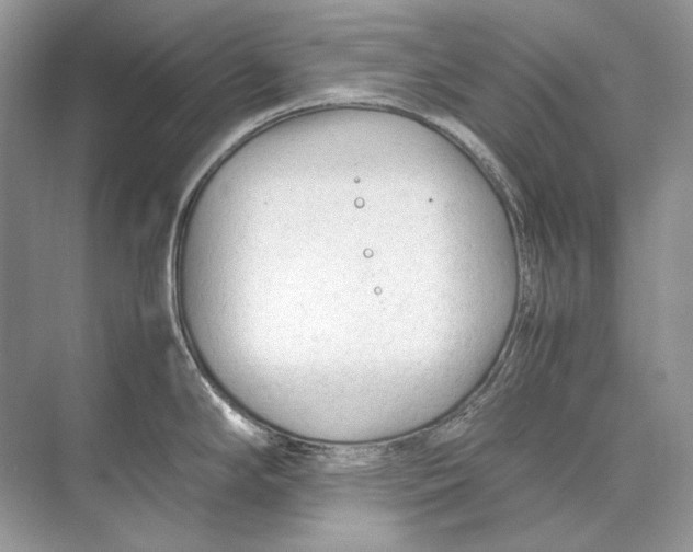 X0000074331294200609230042