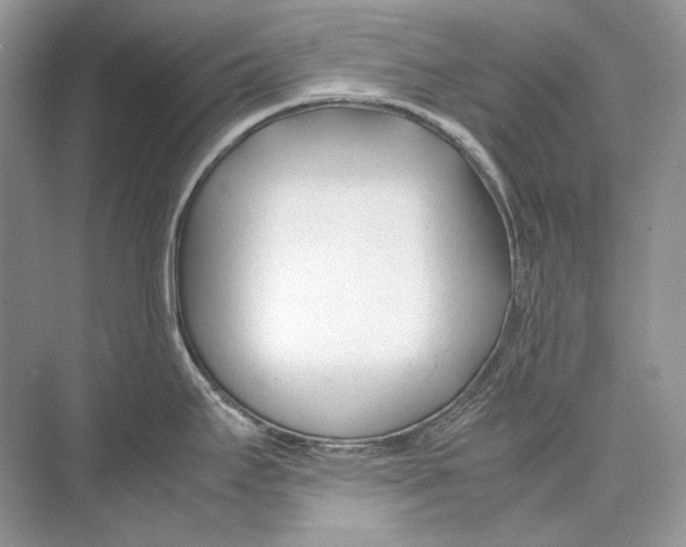 X0000074331295200609230042