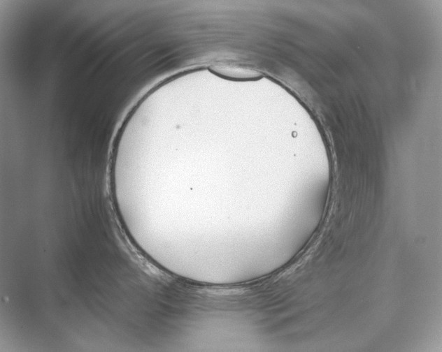 X0000074331296200609230042