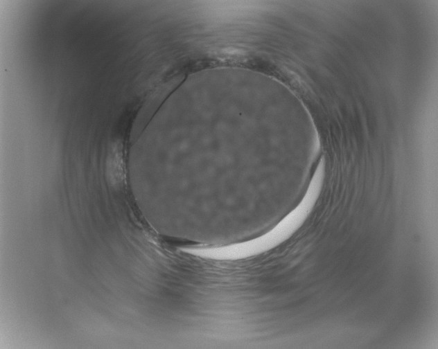 X0000074331298200609230042