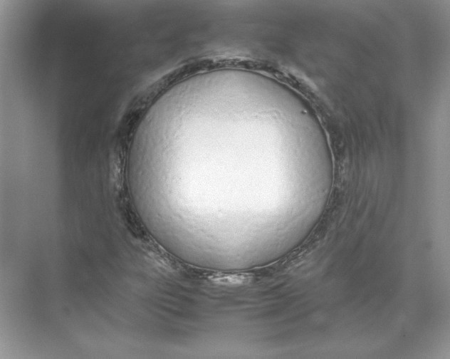 X0000074331303200609230042