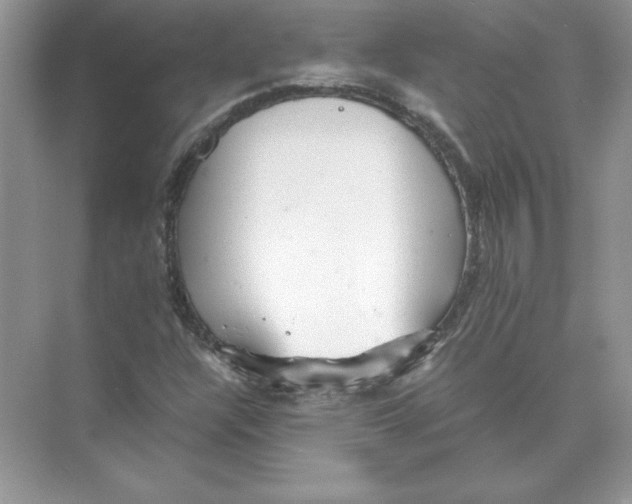 X0000074331304200609230042