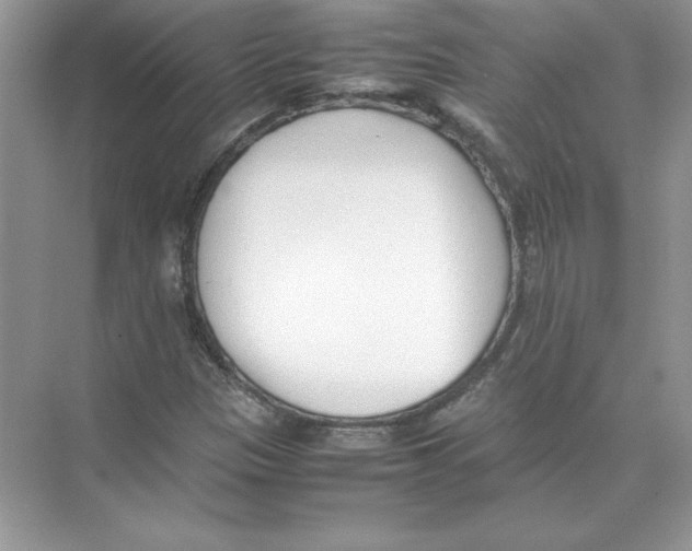 X0000074331305200609230042