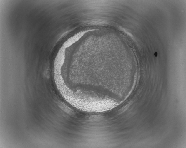 X0000074331306200609230042