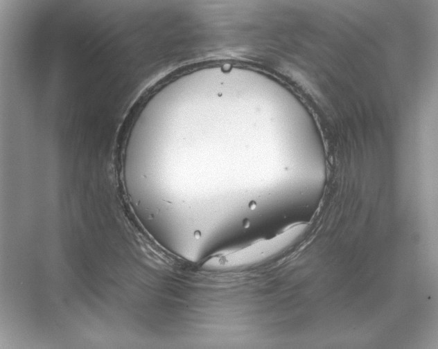 X0000074331308200609230042