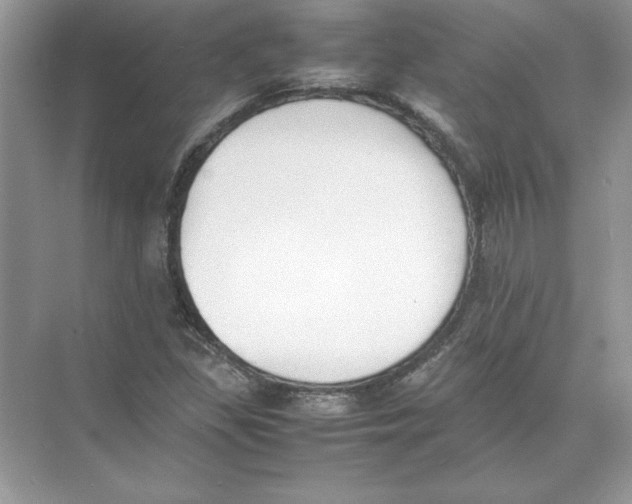 X0000074331309200609230042