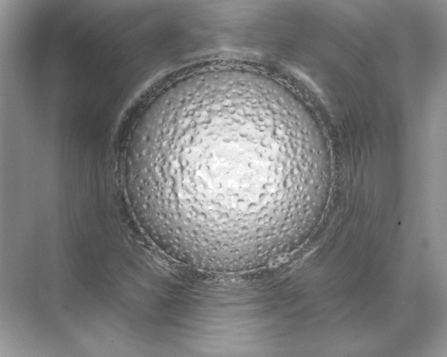 X0000074331310200609230042