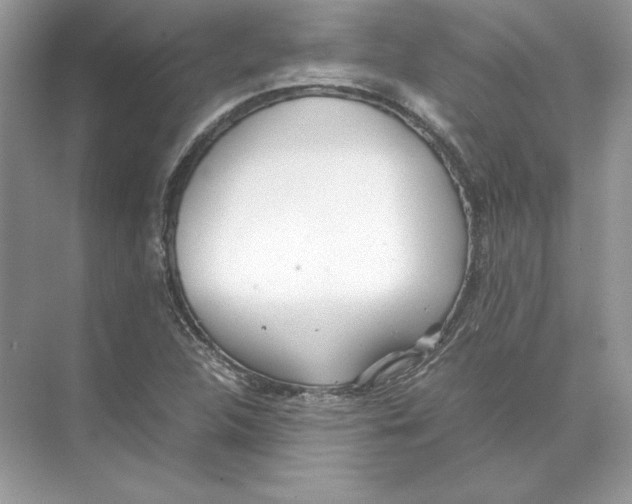 X0000074331312200609230042