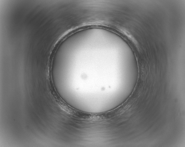 X0000074331316200609230042