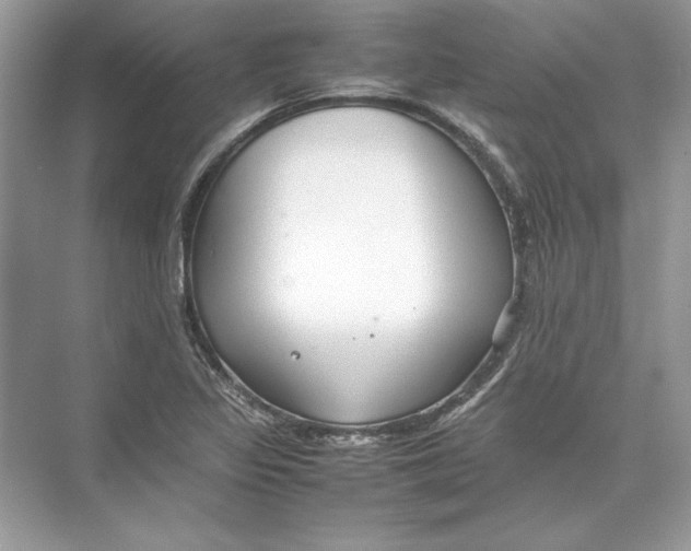 X0000074331317200609230042