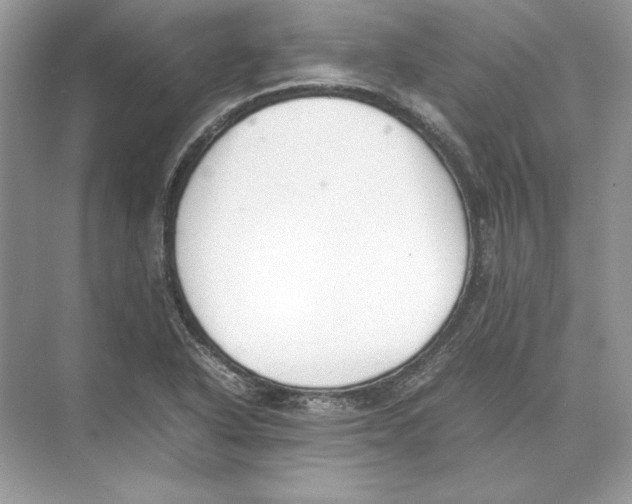 X0000074331318200609230042