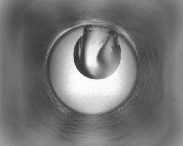 X0000074331320200609230042