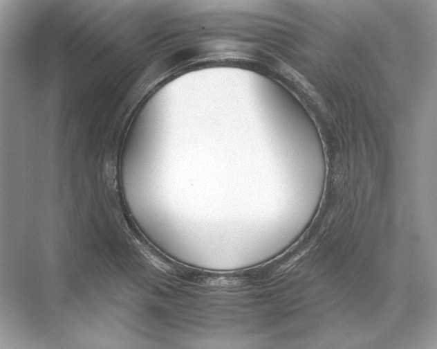 X0000074331321200609230042