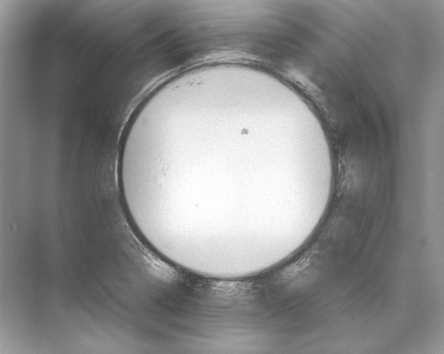 X0000074331322200609230042