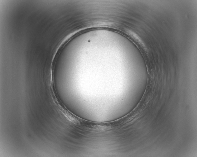 X0000074331324200609230042